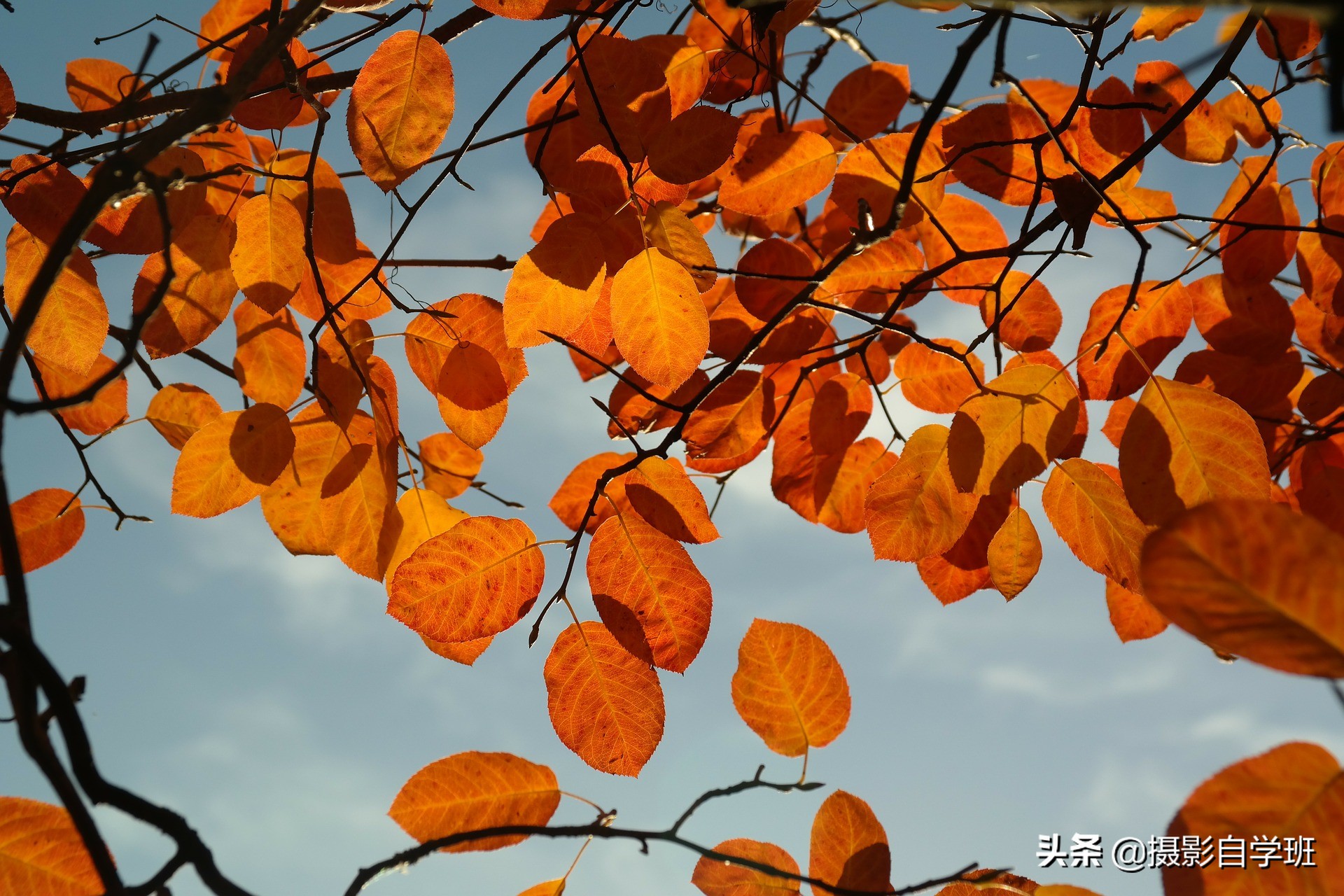 拍美秋天并不难，这6个简单的秋天摄影技巧，帮摄影新手拍美秋天