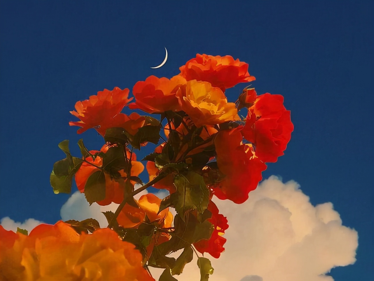 摩羯座带给世人的四个知识点，值得借鉴