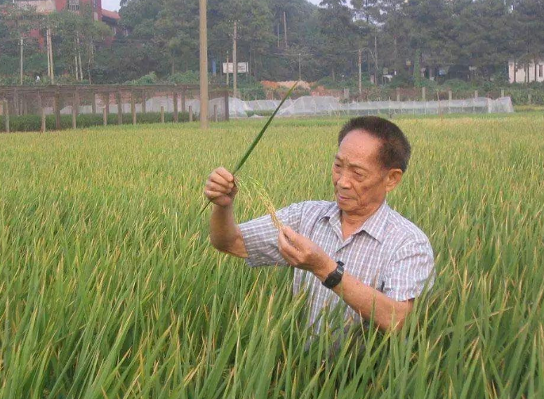 《青你3》粉丝“倒奶”事件，已被央视批评，商家和平台责任最重