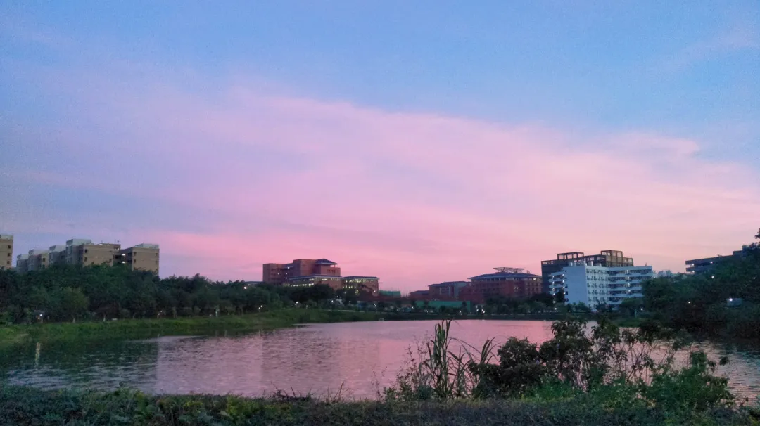 13656广州华立学院2021本科招生指南来了！填报志愿看这里