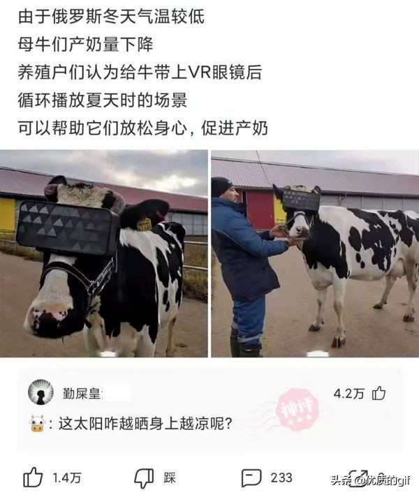 神回复：我姓秦，出生那天刚好是爷爷60大寿，所以我叫？