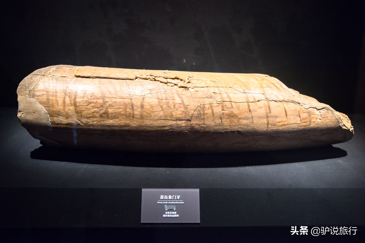 博物馆日“穿越之旅”：常州2700年春秋淹城，玩在中国第一水城