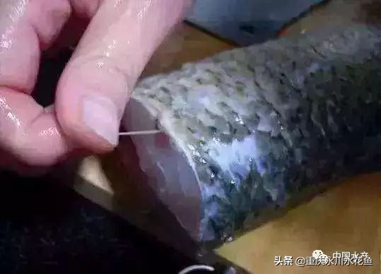 分享讓魚味更鮮美的10個小竅門，如何把魚菜做的鮮美入口