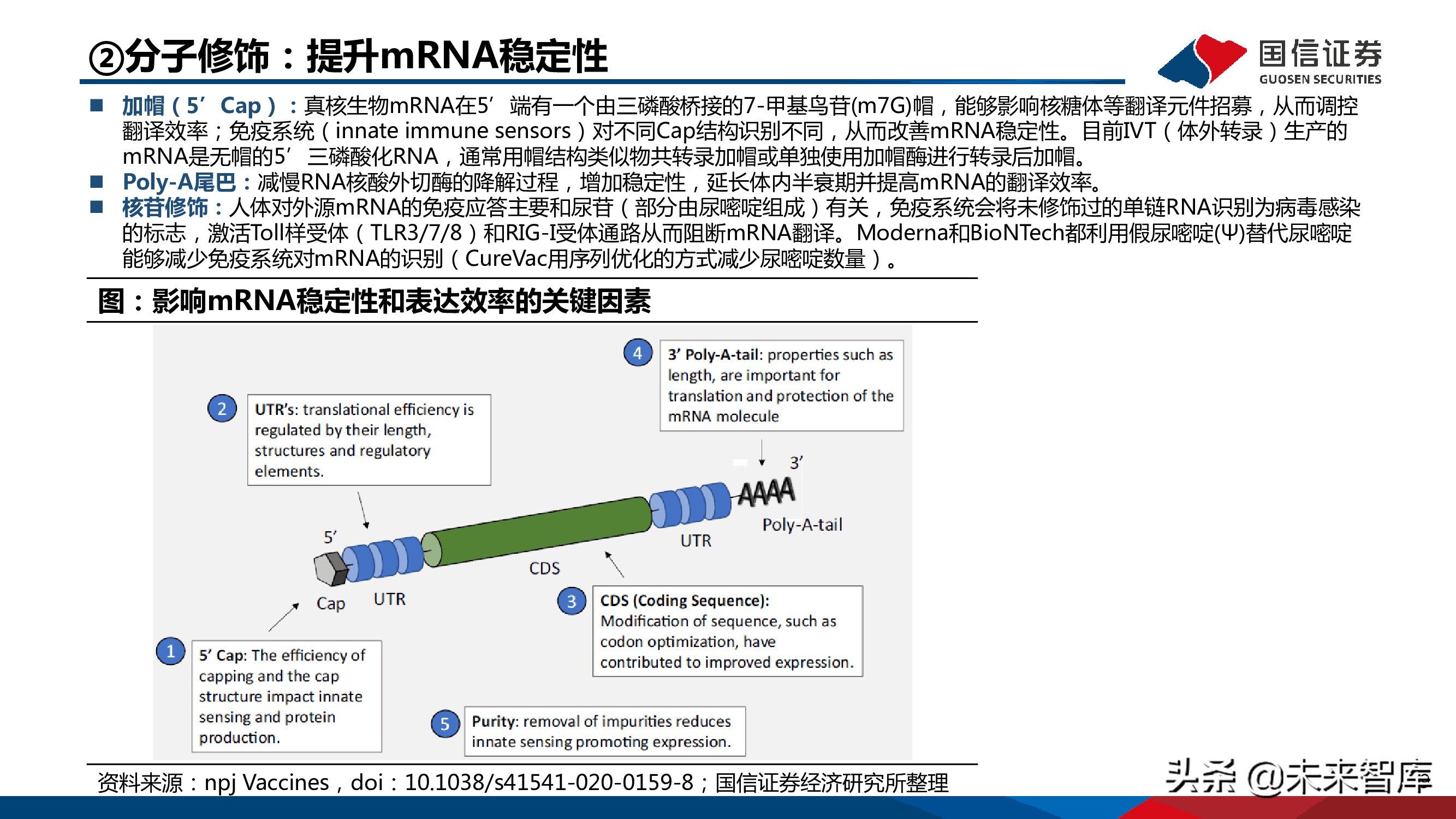 医药mRNA行业深度报告：mRNA技术大有可为