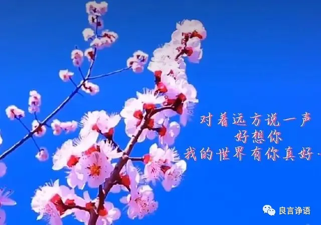 遇见你一见倾心，爱上你相见恨晚