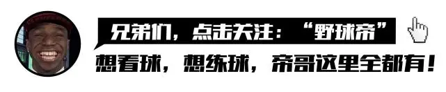 nba哪些中锋可以配合纳什体系(纳什用他打首发中锋，场均5.5分3.5板！投篮命中率44%！搭档杜哈)