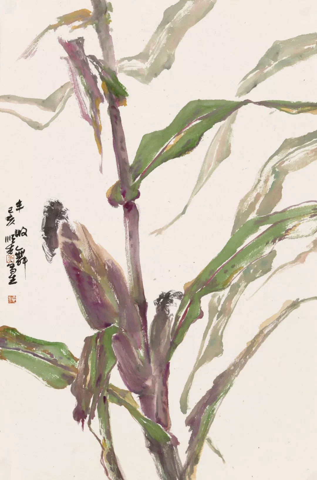 田野畅想曲 | 马顺先的玉米写生