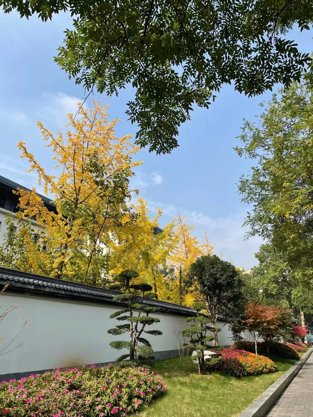 æ‚Ÿç©ºé—®ç&shy;”ï¼šé—®ç&shy;”è‡ªåª’ä½“ä»…æ¬¡äº�çŸ¥ä¹�çš„å¤©èŠ±æ�¿ï¼Œå¯¹æ–°äººå¾ˆå�‹å¥½