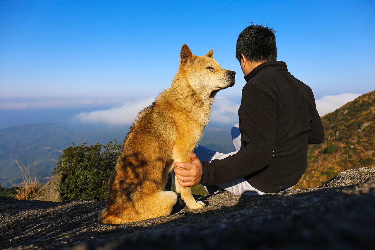 这6种狗狗，出了名的忠诚，养过都说好