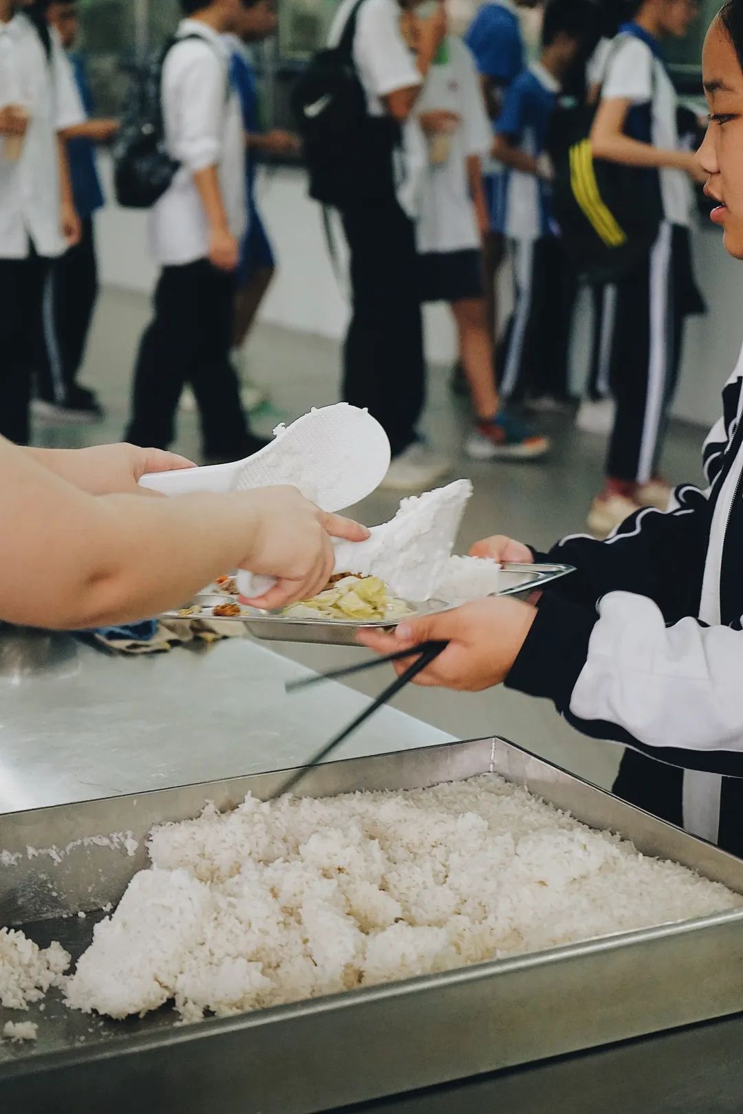 投资10亿，坐标布吉，这是一所被低估的宝藏学校