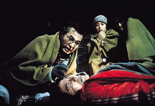 评分最高的十大日本恐怖片，《午夜凶铃》第6，《咒怨》未进前三