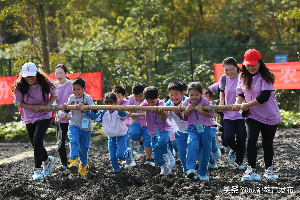 必修！这门课要“泥土”还要“破土”