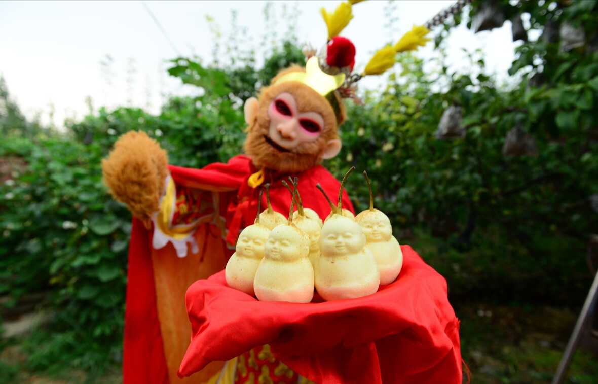电视剧中常出现的十大“神奇植物”，有的还是人名，看你见过几种