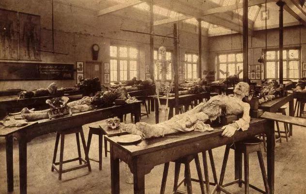 关于维多利亚时代尸体交易的10个令人不安的事实