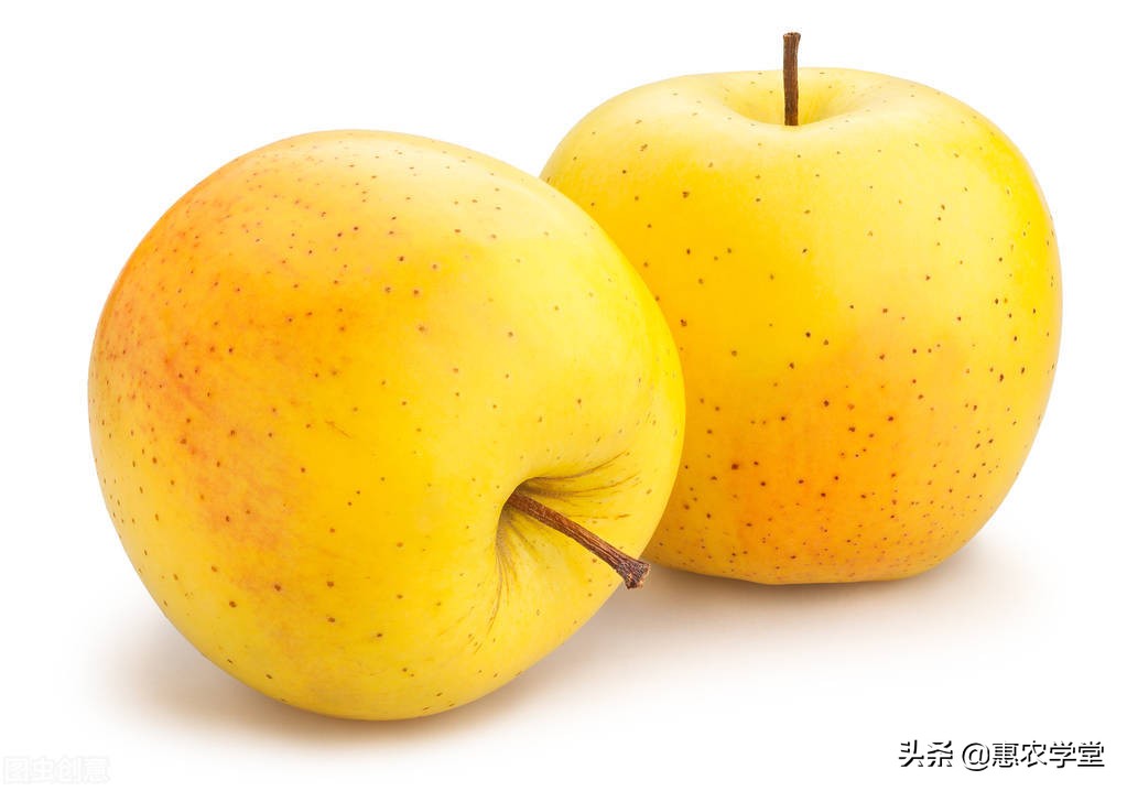 苹果的外形特征描述 -生活知识库-donow知识库