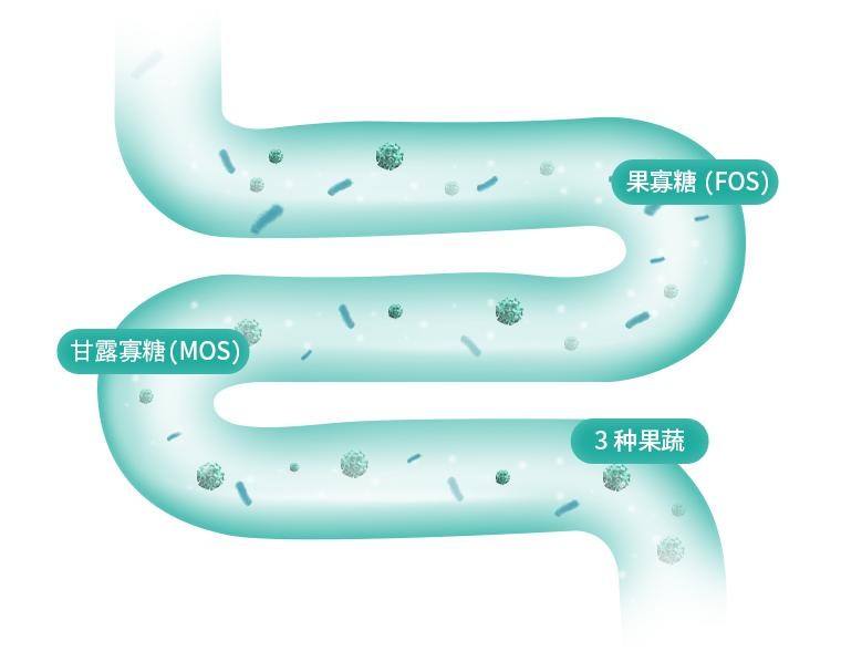 科学养宠·专宠专用，凯锐思贵宾犬无谷犬粮上市
