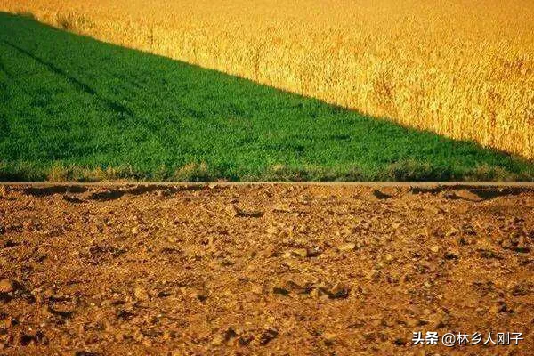 农村承包土地能抵押贷款吗?2020年最新政策是怎样