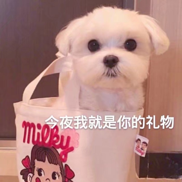 表情包：好了，二狗，不要再说了