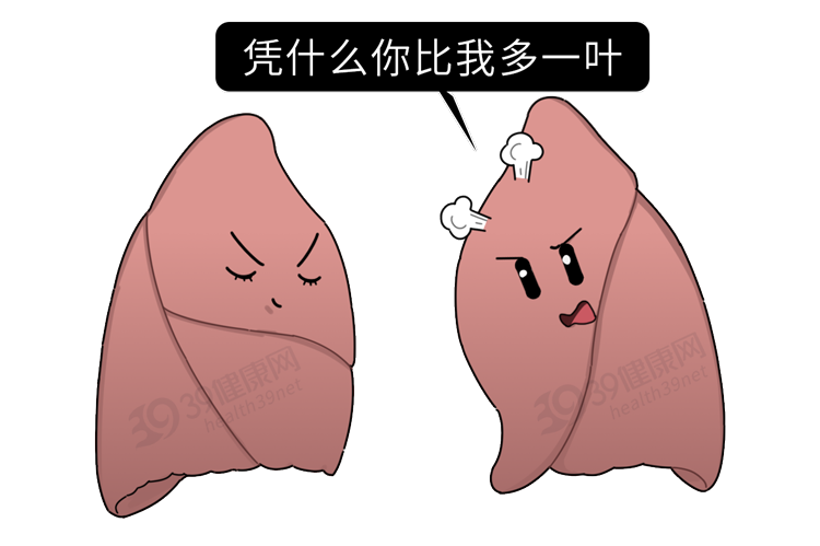 调查发现：80%男性的两侧睾丸高低、大小都不同，原因为何？