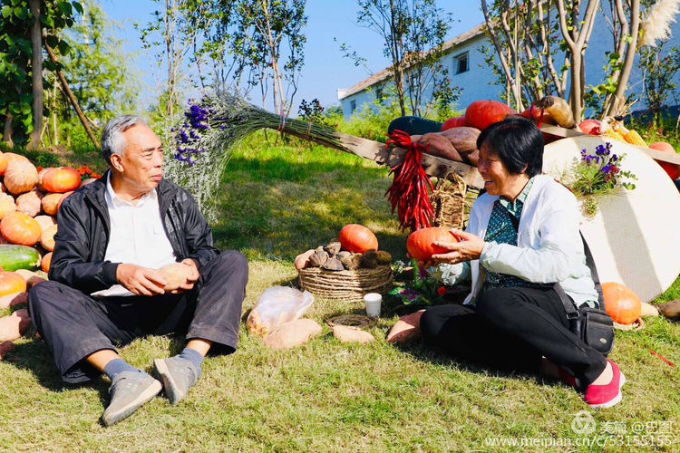 10月7日重阳节，十几首诗词100幅照片，致敬天下老年人