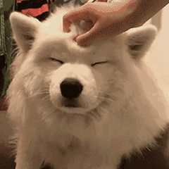 推荐5本苏甜小萌文，你有钱来我有颜， 恋爱打脸两不误！