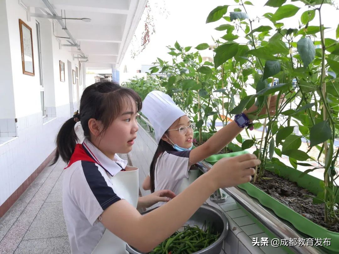 必修！这门课要“泥土”还要“破土”