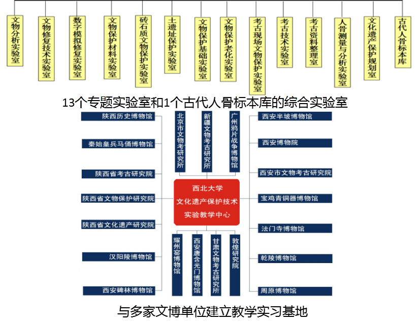 专业篇丨国家级“一流本科专业”建设点之文物保护技术