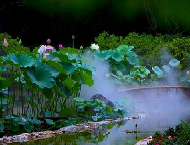 古诗词‖《采莲曲》诗词鉴赏