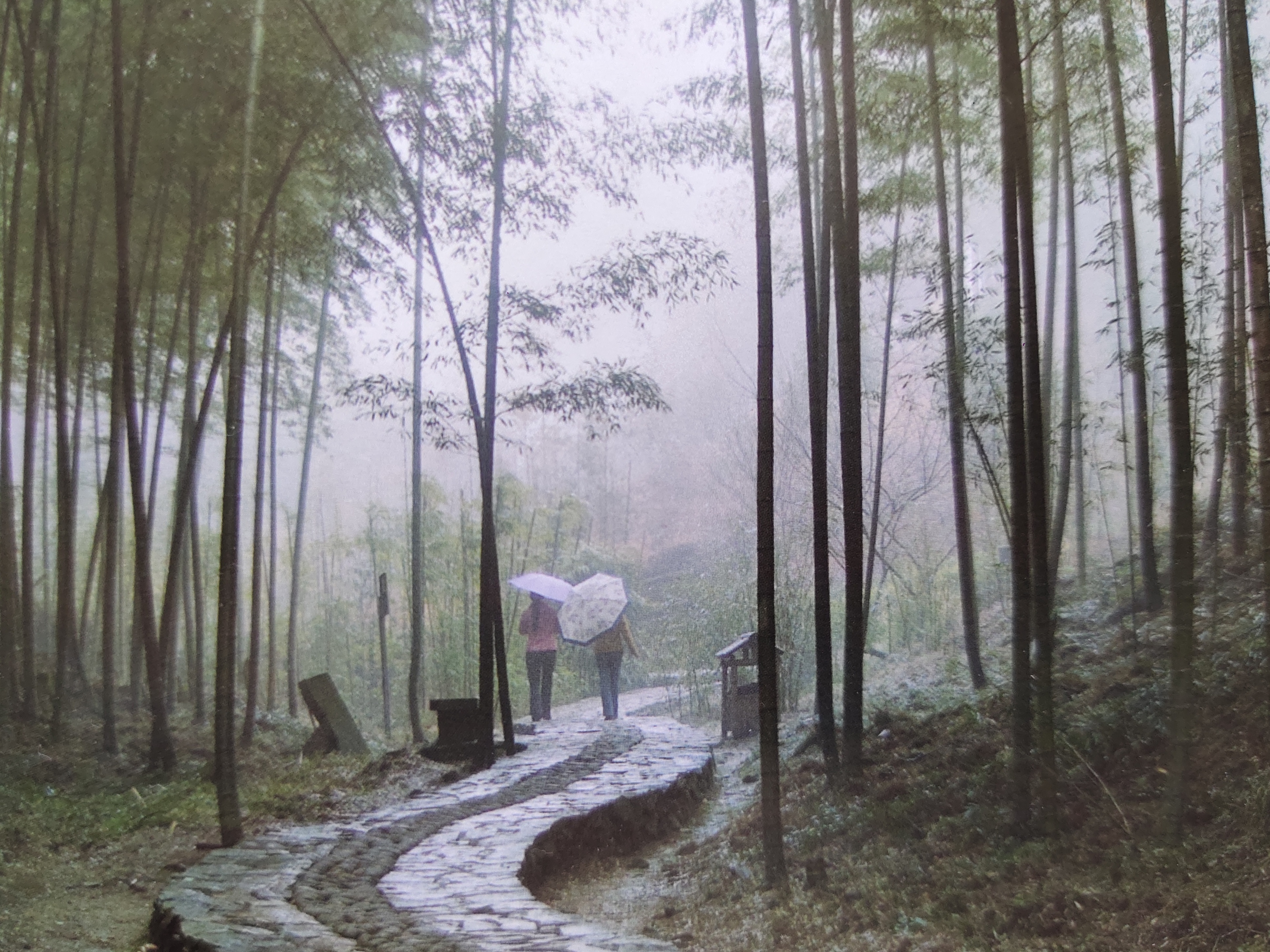 胡刚毅诗歌评论二篇