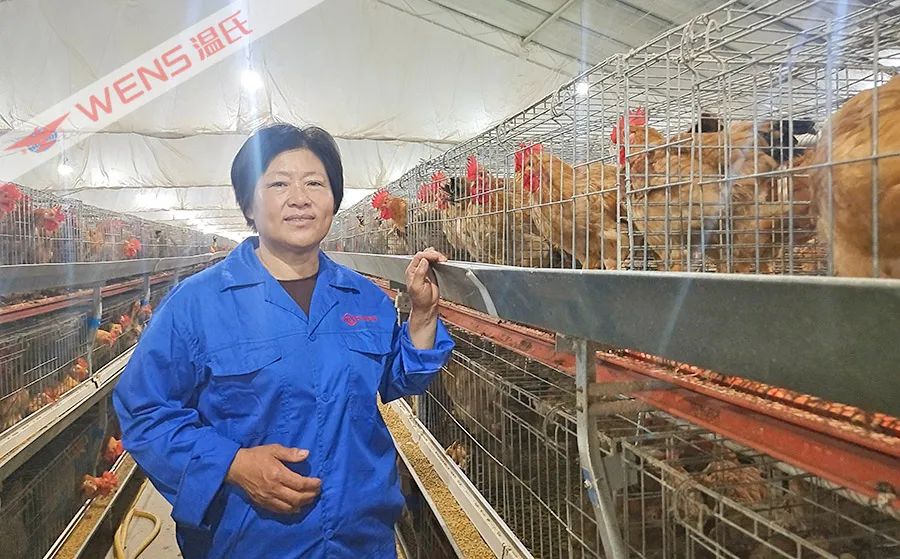 股份制改革,股份制改革是什么意思