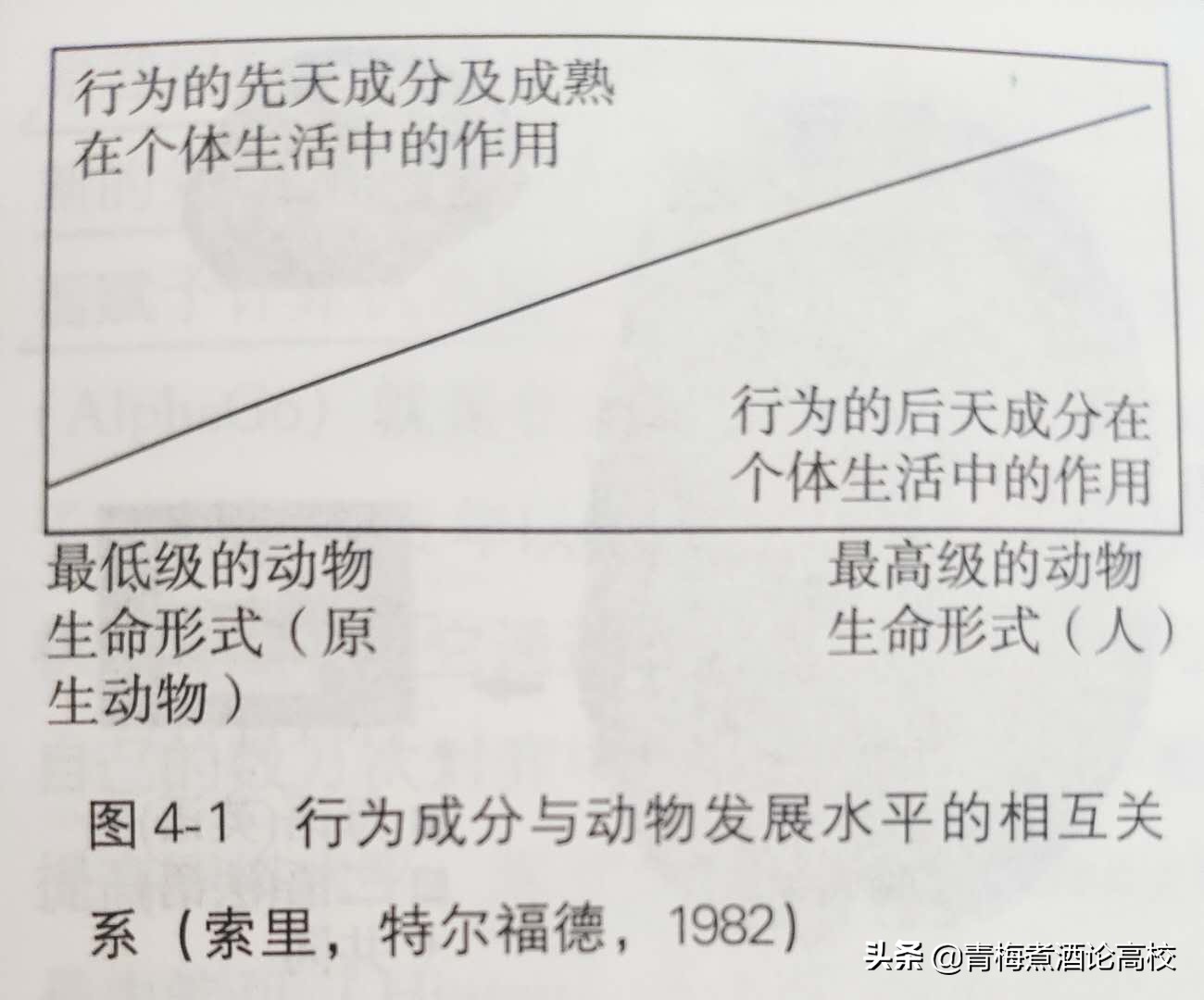 考研教育学专业课第四章（311），关注我，带你一战考研成功