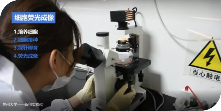 兰州大学这群学生厉害了：自己给自己编写教学课程！还将应用于全国本科生教学