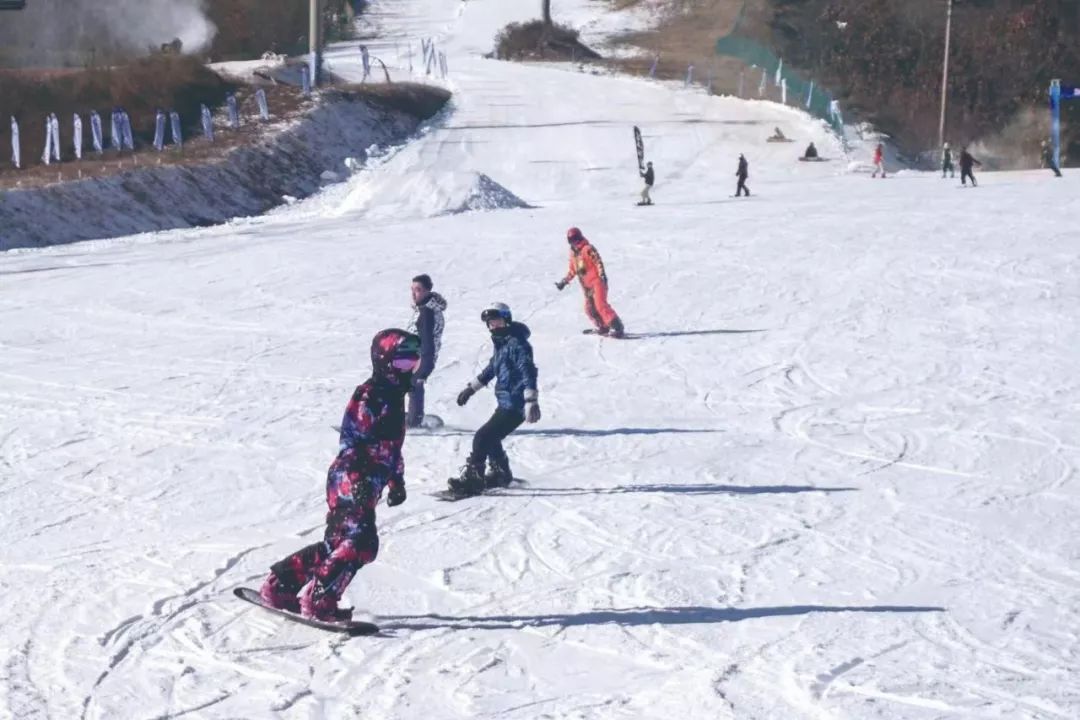 【扩散】在大连过年，这两样不妨试一下……
