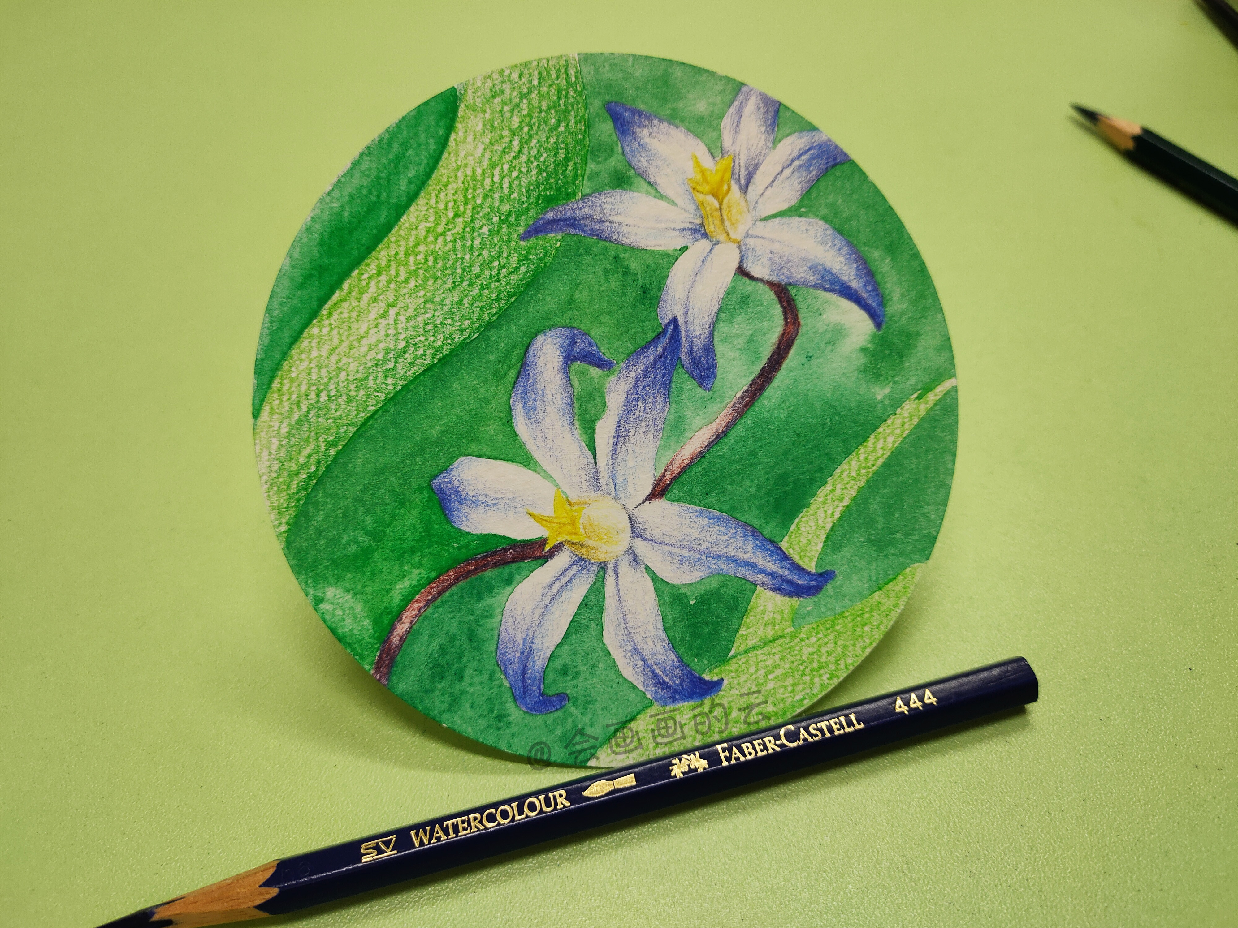 零基础教你用彩铅画蓝色的小花,简单又好看,9步就可以完成