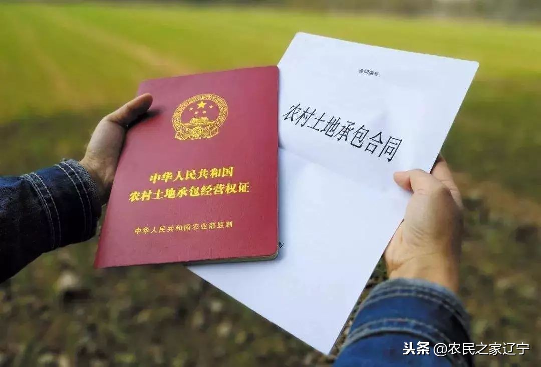 包地纠纷多？补贴到底给谁？你需要签订一份正规合同！