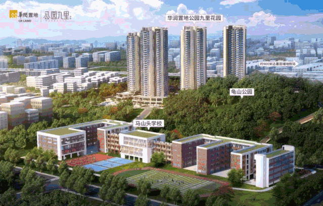 2020年深圳积分入户申请开始了！10000名指标抓紧