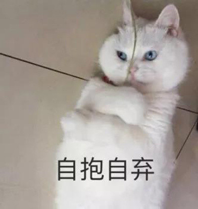 猫咪表情包：关下灯，谢谢