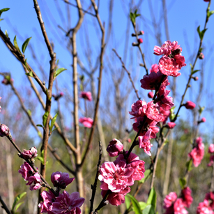 集美大学2017-2018录取分数