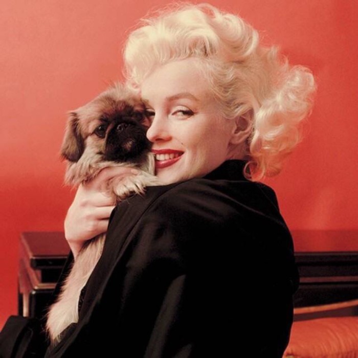 浅析好莱坞的"新古典主义",在21世纪取代新时代文化的可行性