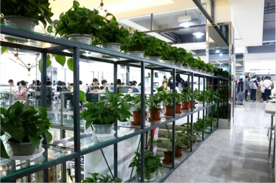 惊艳！东北这所高校：坐拥网红餐厅、高配宿舍，四季堪称神仙颜值