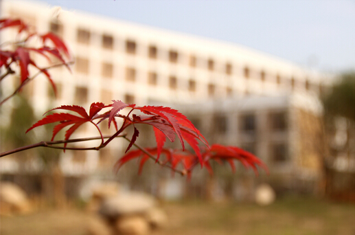 浙江科技学院，一所出身名门，前景灿烂的院校