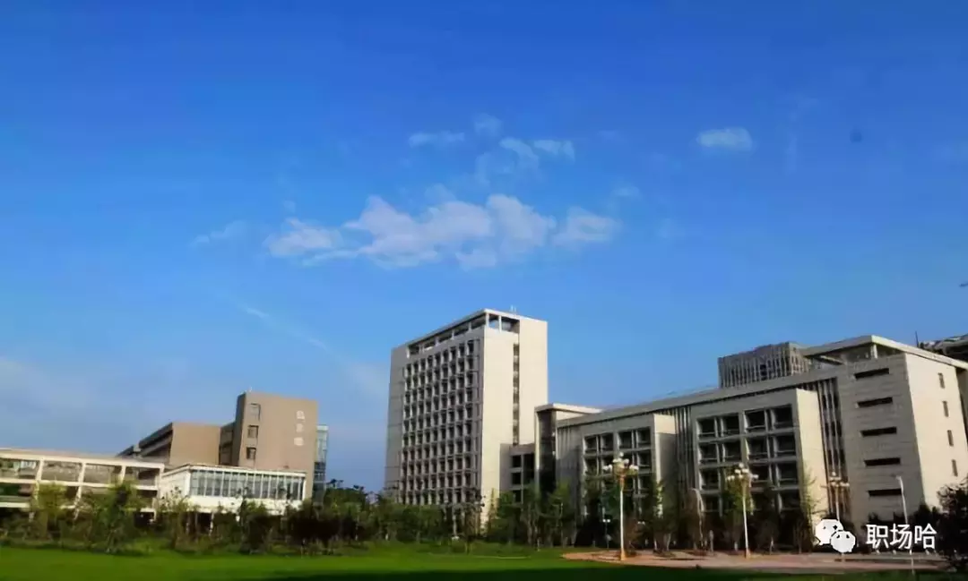 河南这3所公办大学，升格为本科学校不久，录取分偏低，适合捡漏