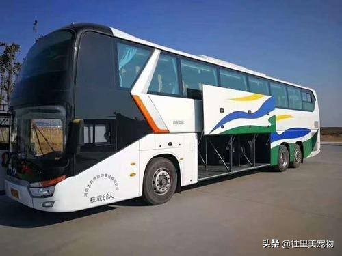 把活体宠物从居住地运到外地，真的很难吗？细说宠物托运那些事