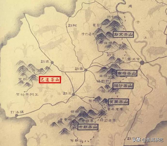 巴达山在哪里（巴达有丰富的野生茶树资源）