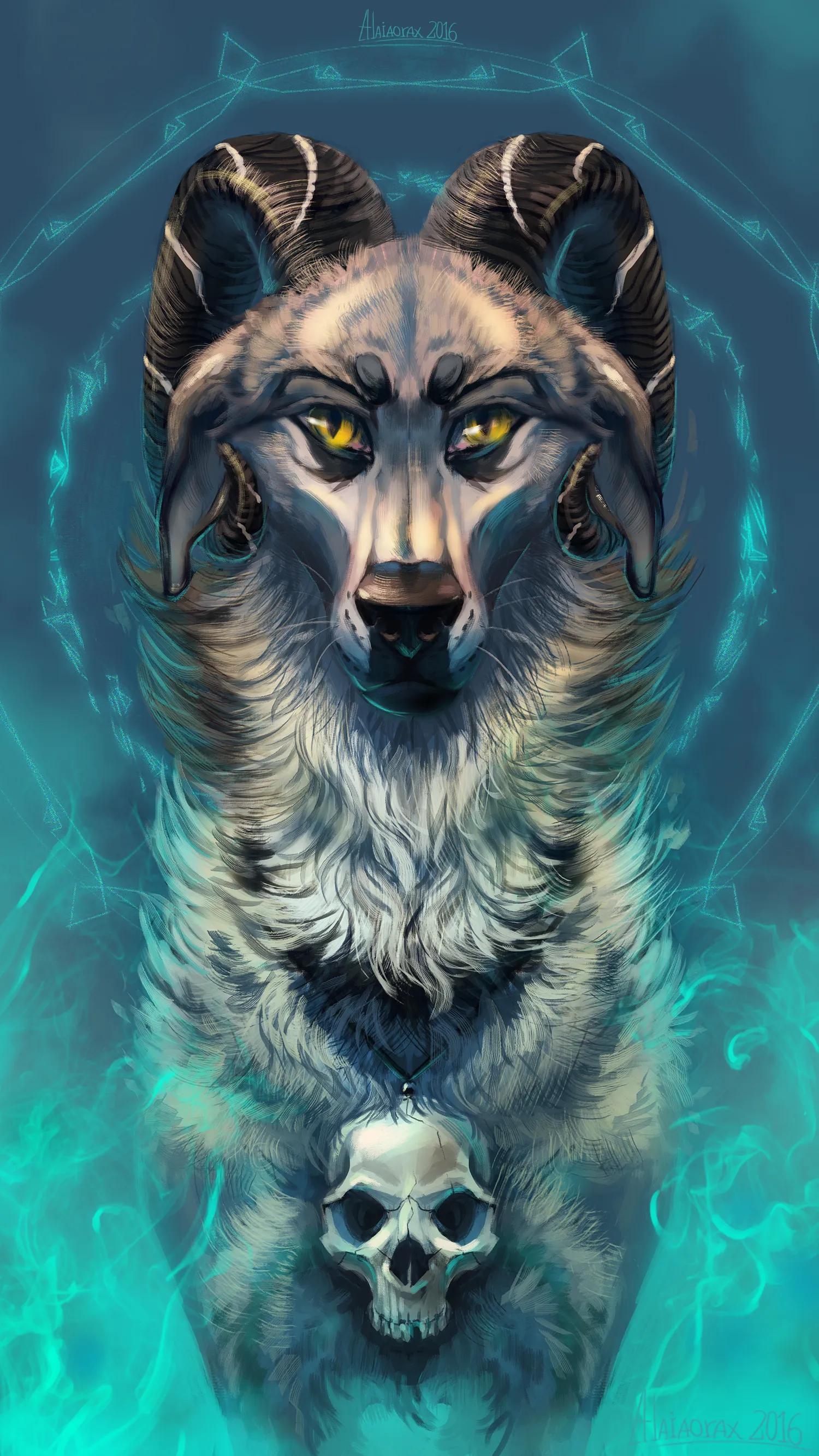 4k壁纸|狼,经过无数次残酷争斗,在狼的世界,只相信强者