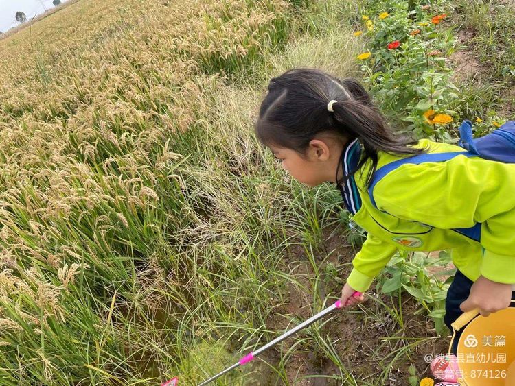 邯郸：魏县县直幼儿园观摩县全域水网建设和试种稻田项目活动