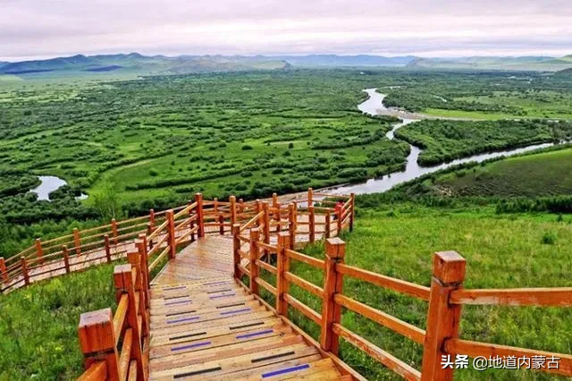 来，呼伦贝尔