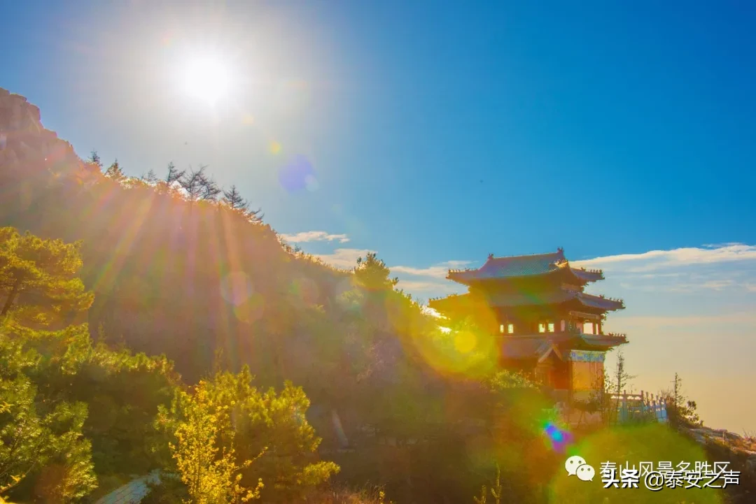 深秋泰山：一年好景君须记，最是橙黄橘绿时