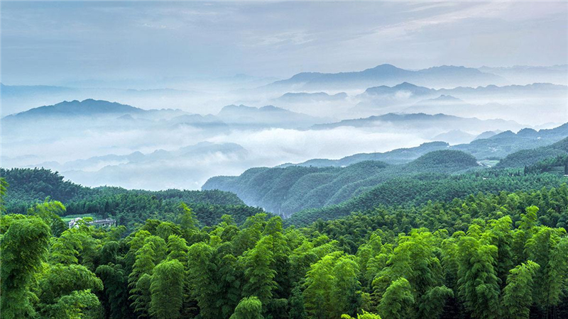 去四川宜宾旅游前必看的a级景区介绍(多图)