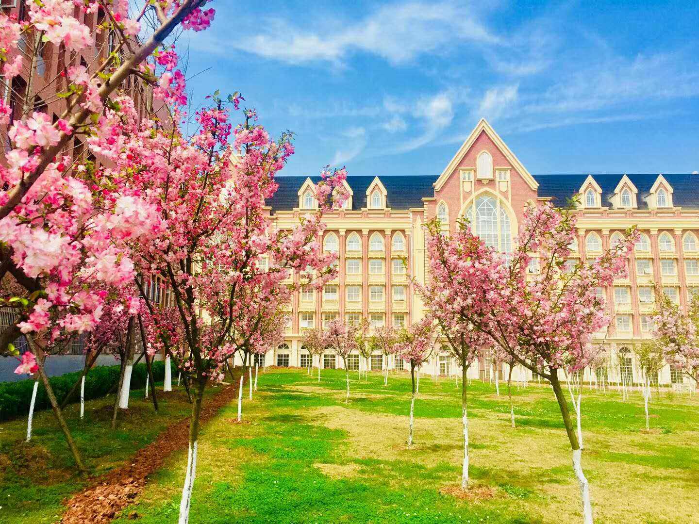 进入大学一个月了，感觉怎么样？我来告诉你